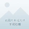 水晶纪念奖杯定制